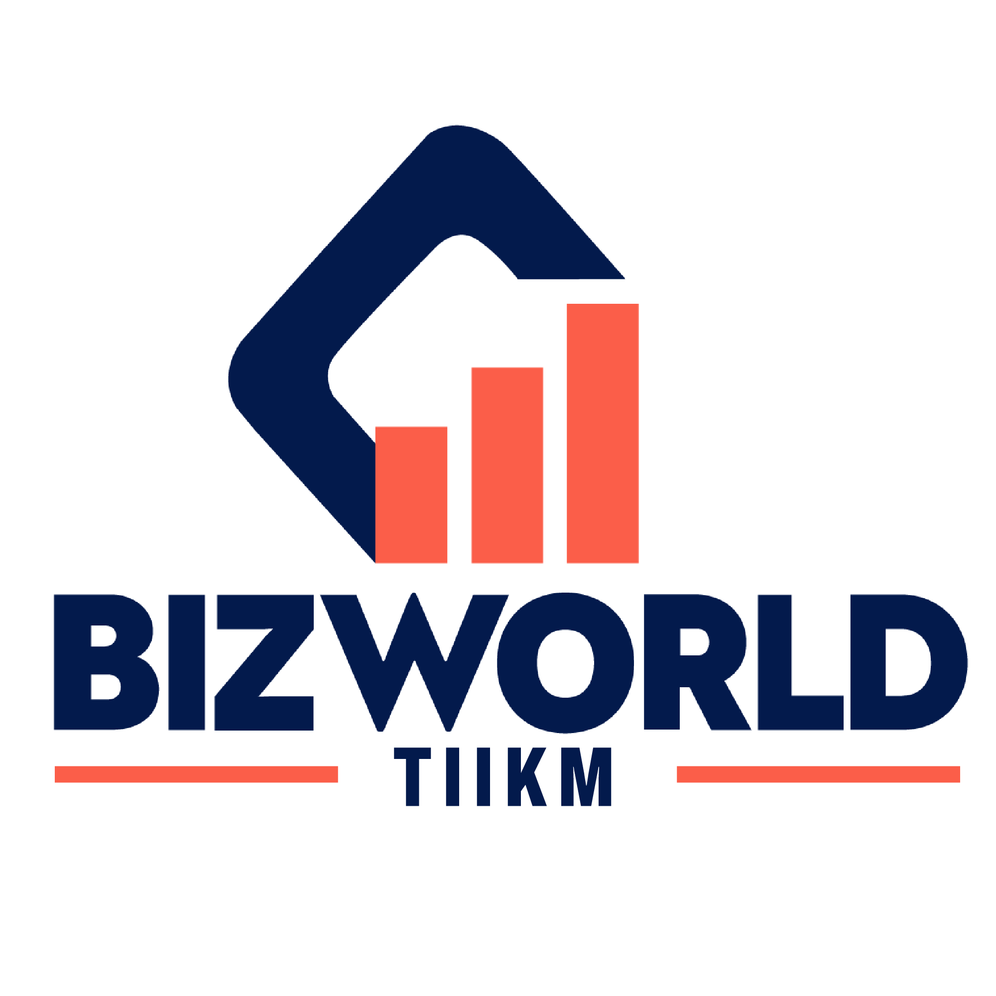 Bizworld TIIKM